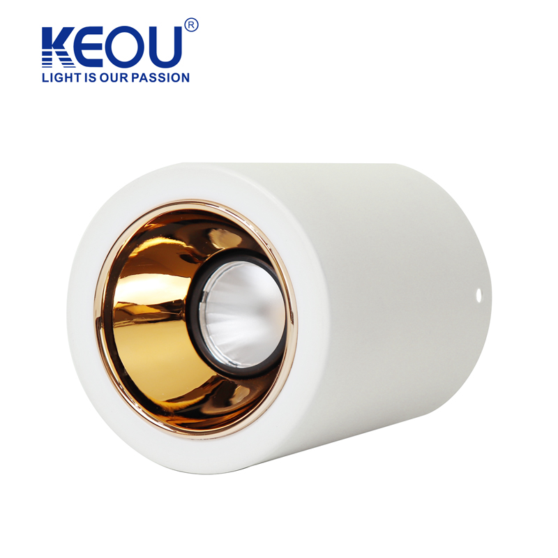 No. 10 Single-head Surface Mounted Modular Downlight