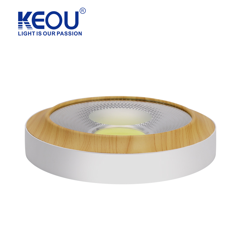 Grain Ceiling Down Light