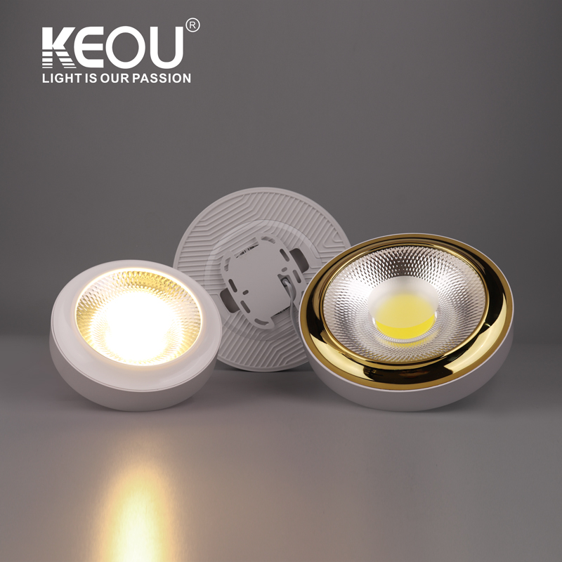 Surface Cob Ceiling Down Light