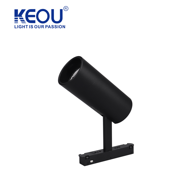 48V Magnetic Spotlight