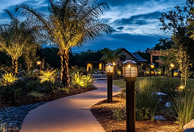 Flood Light Flood Light