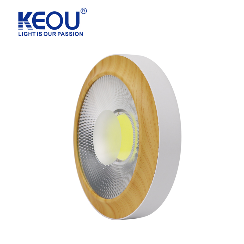 Grain Ceiling Down Light