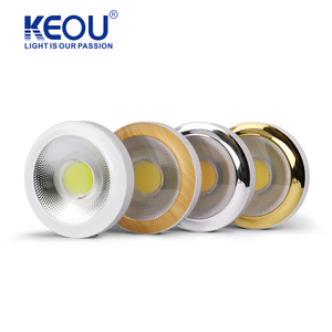 Surface Cob Ceiling Down Light