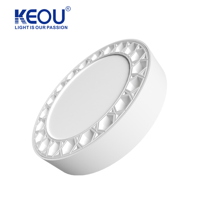 Surface Mounted Spot Down Light