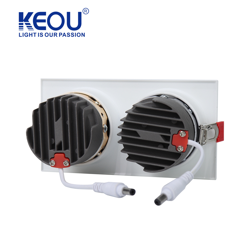 No. 03 Double Head Recessed Downlight