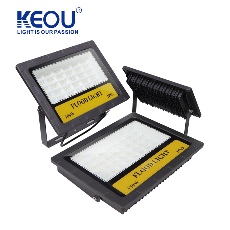 Divided Reflective Cup Style Flood Light