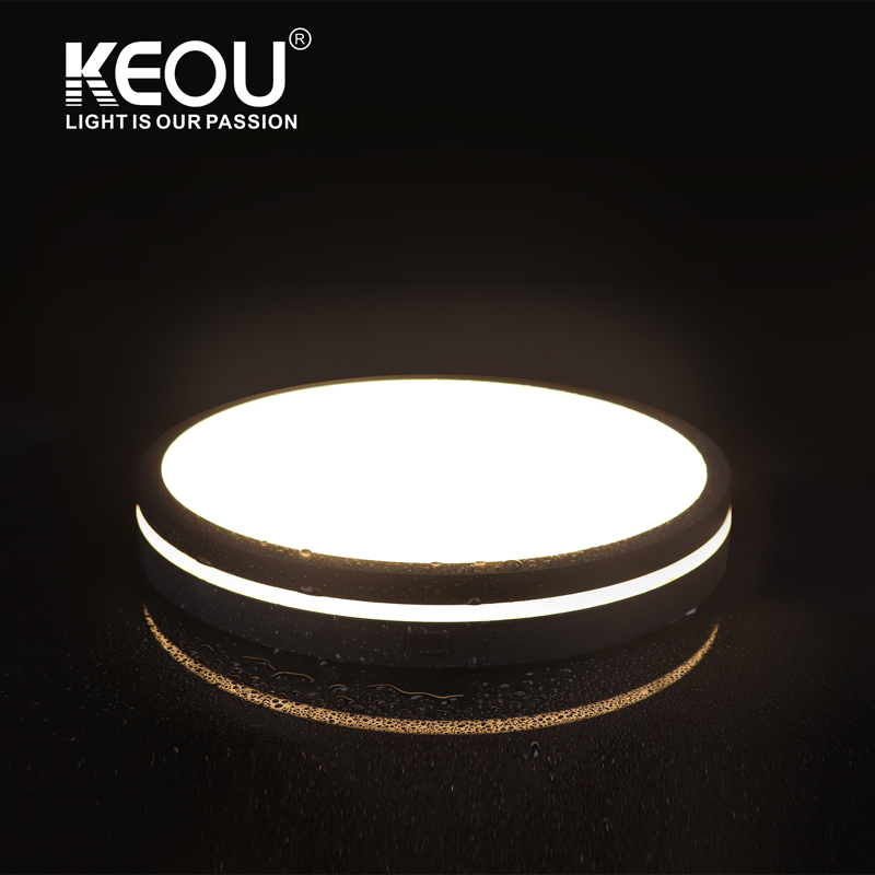 Flush Mount Moisture-proof Ceiling Light