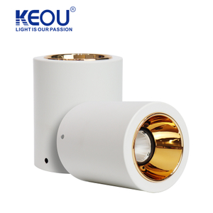 No. 10 Single-head Surface Mounted Modular Downlight