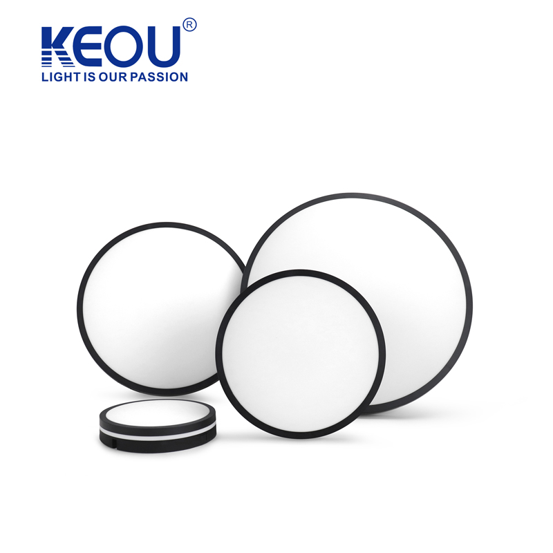 Flush Mount Moisture-proof Ceiling Light