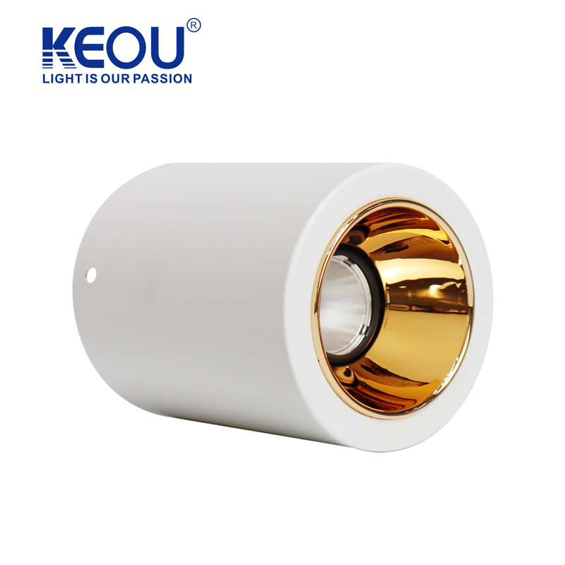 No. 10 Single-head Surface Mounted Modular Downlight