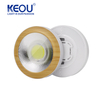 Grain Ceiling Down Light
