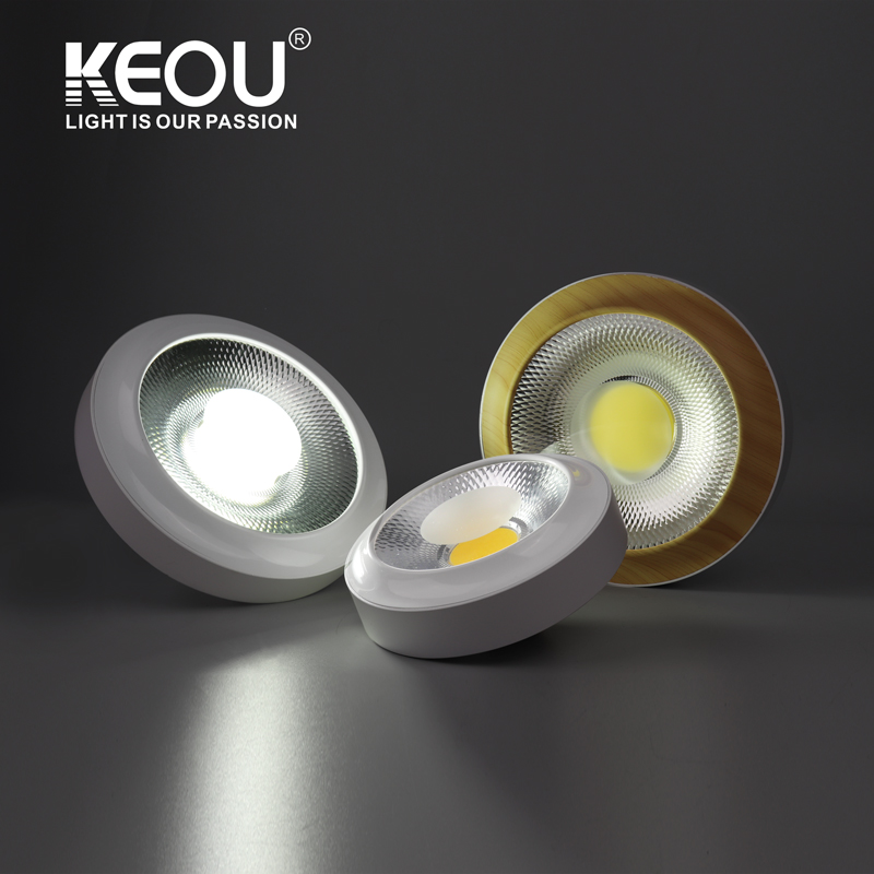 Surface Cob Ceiling Down Light
