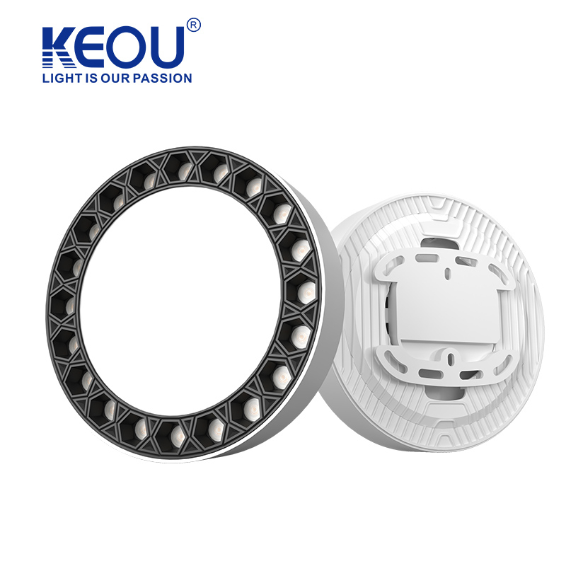 Surface Mounted Spot Down Light