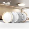 Color Ring Surface Mounted Panel Light