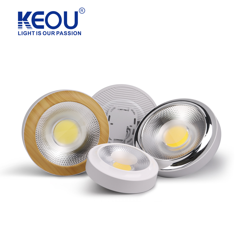 Surface Cob Ceiling Down Light