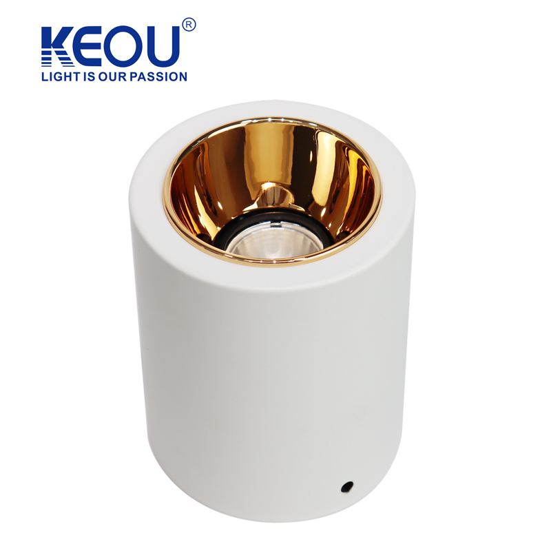 No. 10 Single-head Surface Mounted Modular Downlight