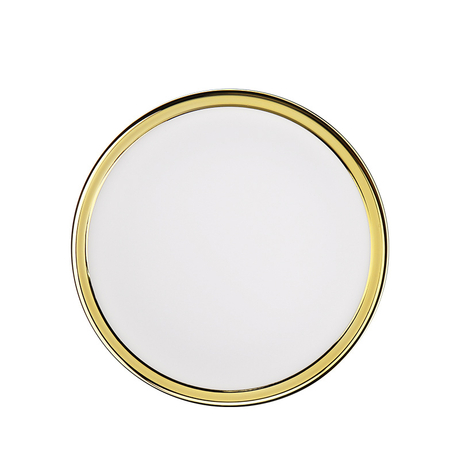 Colored Ring Surface Mounted Panel Light 24W Gold