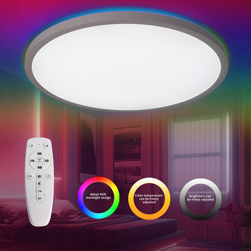 RGB Ceiling Light