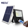 Remote Control Split Solar Flood Light