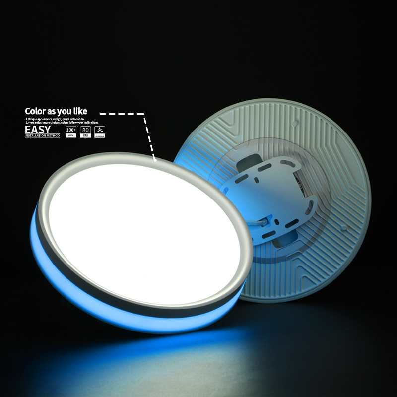 Color Ring Surface Mounted Panel Light