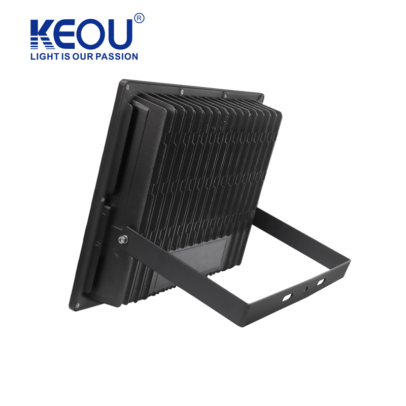 Divided Reflective Cup Style Flood Light