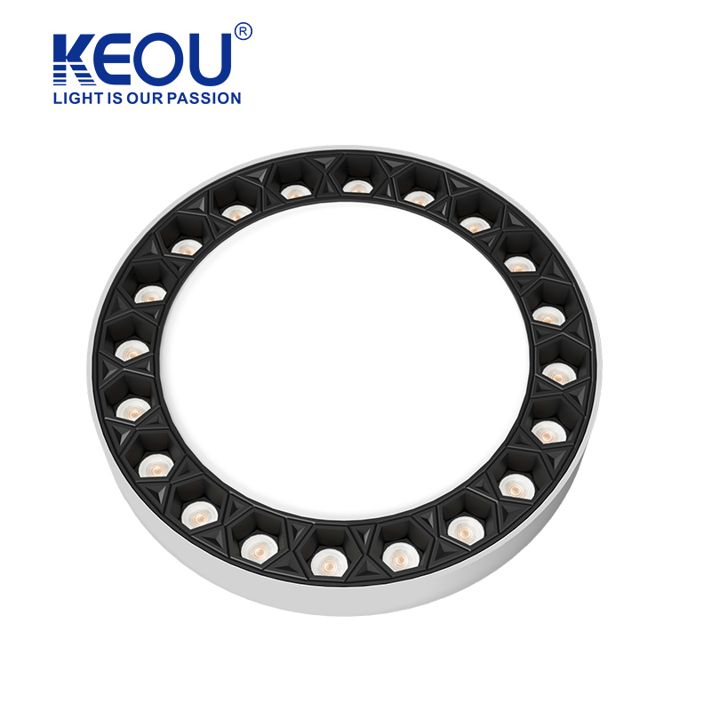 Surface Mounted Spot Down Light