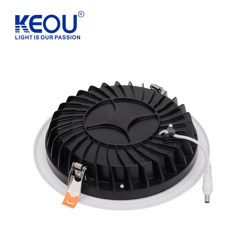Economical Recessed Cob Down Light