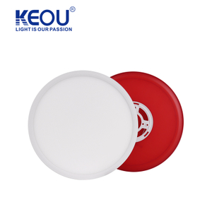 RGB Backlit Ceiling Light